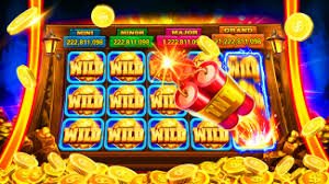 79m bet com