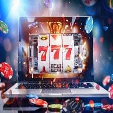 79m bet com