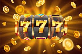 79m bet com